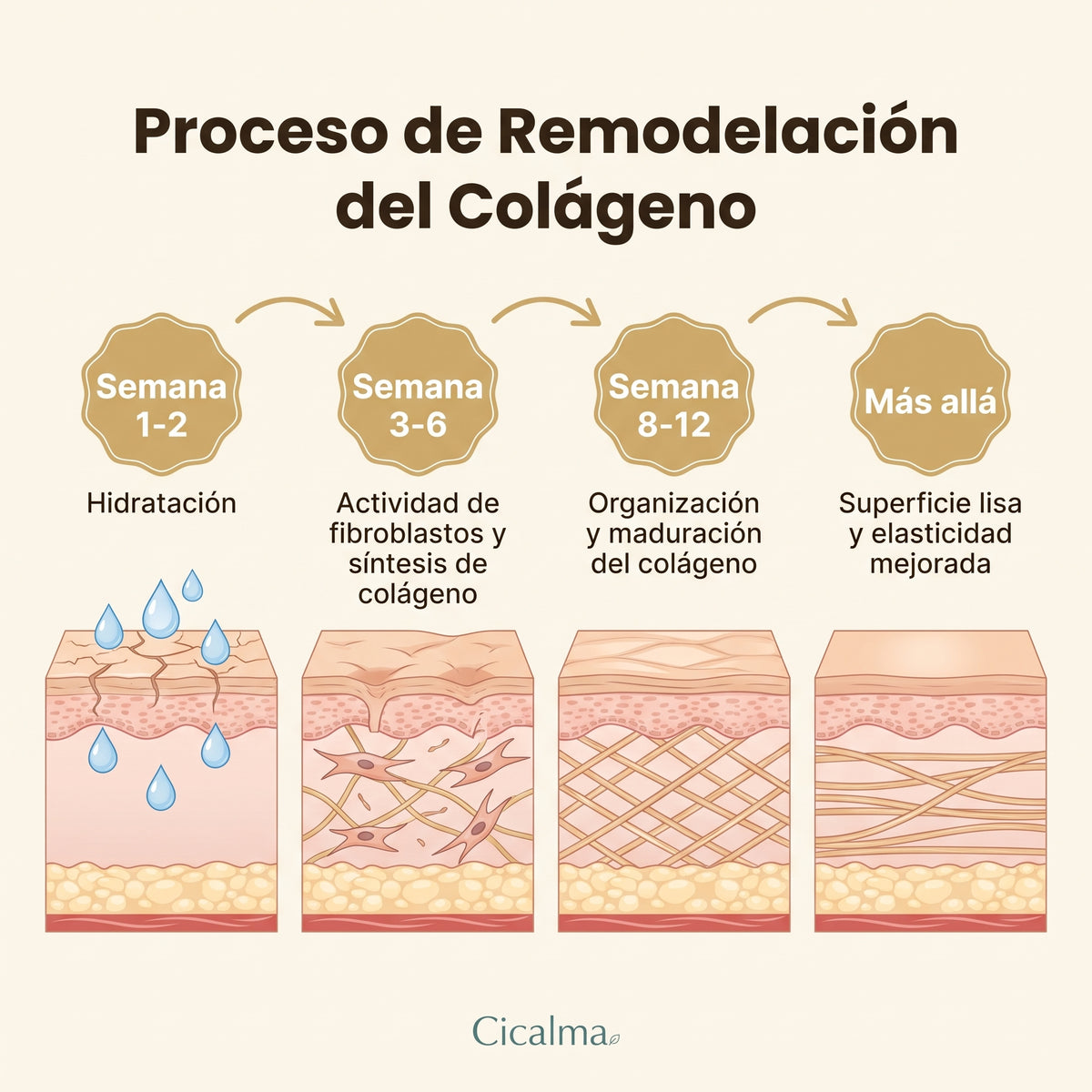Scar Stick Cicalma — Barra Reparadora de Cicatrices